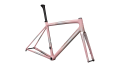 Rama Specialized Aethos Frameset