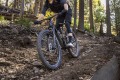 Rower Giant Reign 2