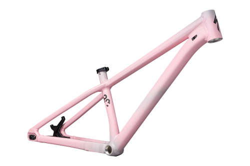Rama Specialized P.3 Frame