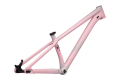 Rama Specialized P.3 Frame