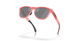 Okulary Oakley Frogskins Range Velocity Collection