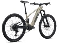 Rower Giant Stance E+ 1