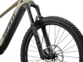 Rower Giant Stance E+ 1