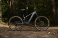 Rower Giant Stance E+ 1 2026