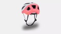 Kask Specialized Search