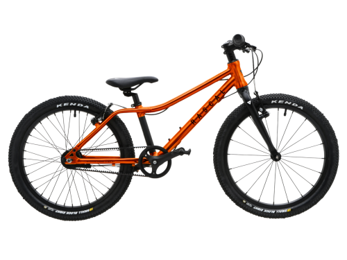 Rower dziecięcy Rascal 20 3speed Sturmey Archer